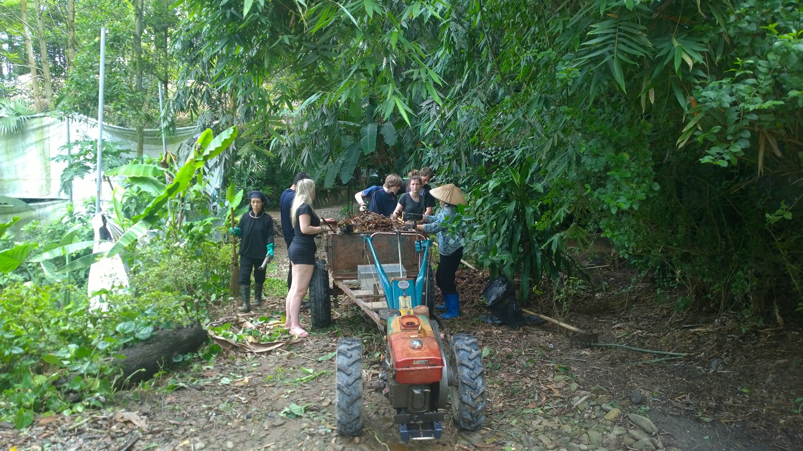 Volunteers loading a tractor