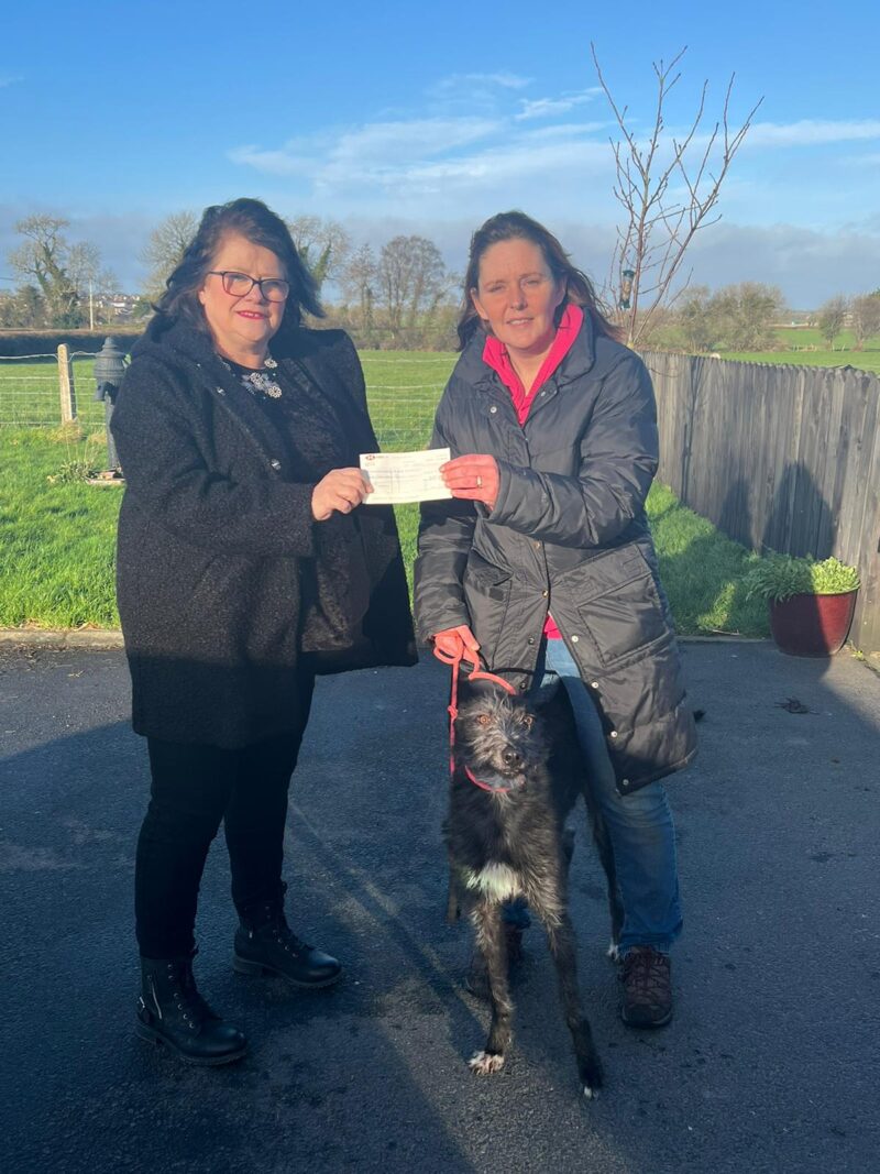 Pavers Foundation Supports ‘Almost Home Animal Welfare’ with £500 Donation